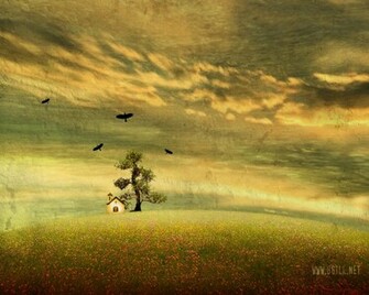 Church Background Image All Wallpaper New