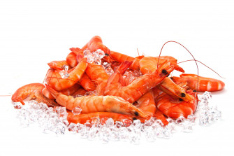 Seafood Wallpaper