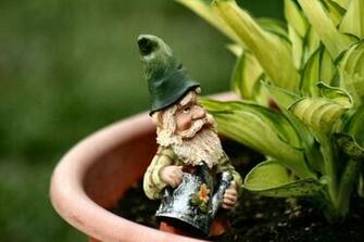 Gnome Wallpaper Jpg