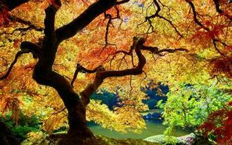 Mabon Fall Equinox Thanksgiving Ritual And Drum Circle