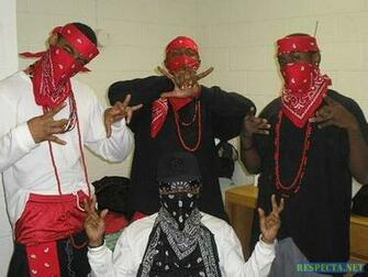 Palin Famous Blood Gang Piru Knowledge