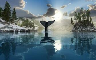 World Largest Fish Whales Wallpaper Sa