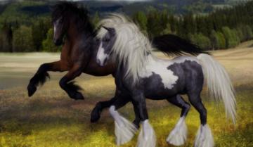 Best Horse Breeds For Beginners Farmhouse Guide