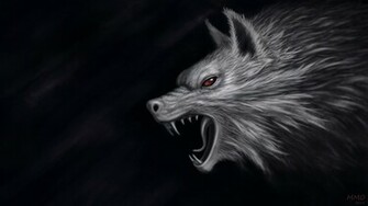 Wolf HD Wallpaper Background