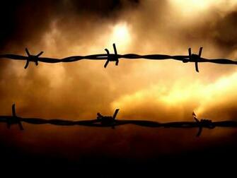 Barb Wire Best Wallpaper 3w941b Araspot