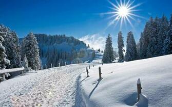 Widescreen Wallpaper Desktop