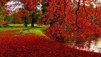 Fall Related Keywords Amp Suggestions Long Tail