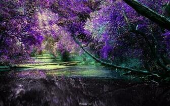 Beautiful Colors Of Nature