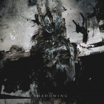 The Shadowing Orbit Culture