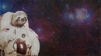 Sloth Wallpaper Motivoso