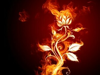 Cool Flower Wallpaper Fond D Cran