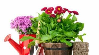 Url Wallpapercraft Gardening Items Sewing Flowers