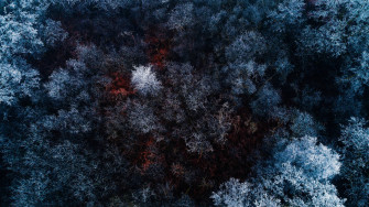 Winter Aesthetic Wallpaper