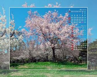 Wxga Wide Screen