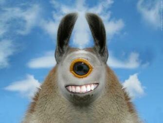 He S A Happy Fellow