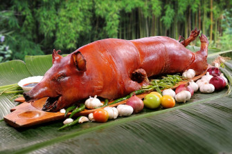 Lechon 1wpq72h954frcijq Wallpaper