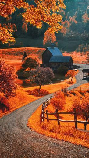 Autumn Screen Wallpaper