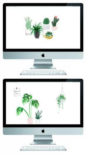 Something For Your Screen Cactus And Succulent Artwork Spring