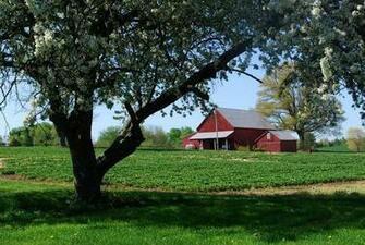 Spring On The Farm Wallpaper