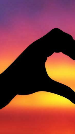 Ipod Wallpaper HD Retina Ready Stunning