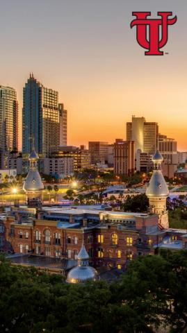 Wallpaper S University Of Tampa
