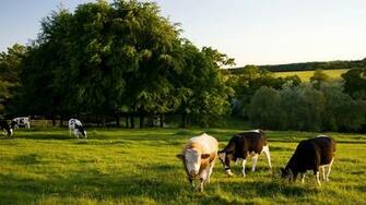 Bbc Radio Farming Today Next