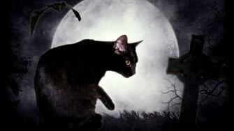 Black Cat And The Moon Wallpaper Image