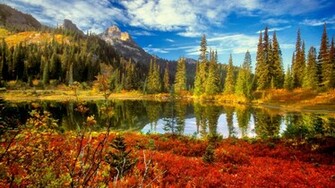 Beautiful Fall Background HD Wallpaper Background HDesktops