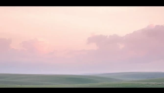 Innocent Wallpaper
