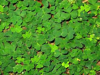 St Patricks Day Wallpaper