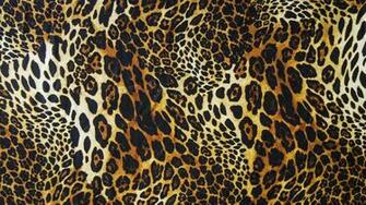 Leopard Skin Print