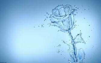 Wallpaper Desktop Widescreen Flowers