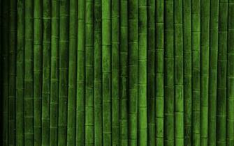 Bamboo Background Image