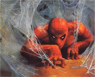 Web Of Spider Man Marvel Comic Book Cartoons Wallpaper Picture
