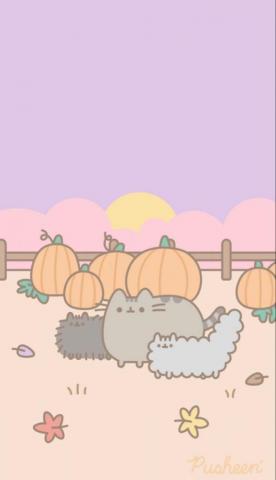 Pusheen Fall Pumpkin Wallpaper Cute Cartoon