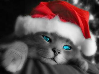 Photo And Wallpaper Christmas Screensavers