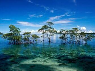 Wallpaper Island Islands