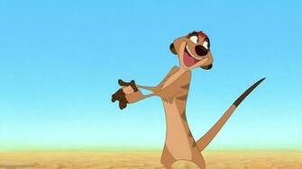 Timon Wallpaper