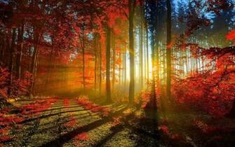 Keywords Scenery Wallpaper Desktop