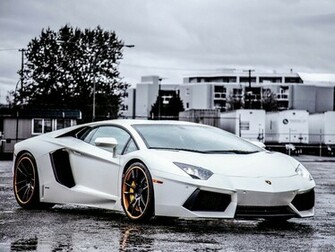 White Italy Lamborghini Aventador New HD Wallpaper Full Size
