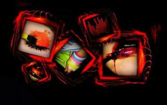 Color My Life Wallpaper Music And Dance