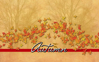 Jpeg Keywords Fall Festival Scarecrow Wallpaper Background