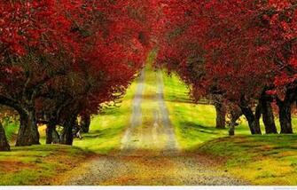 Nature Wallpaper HD For Desktop Full Size