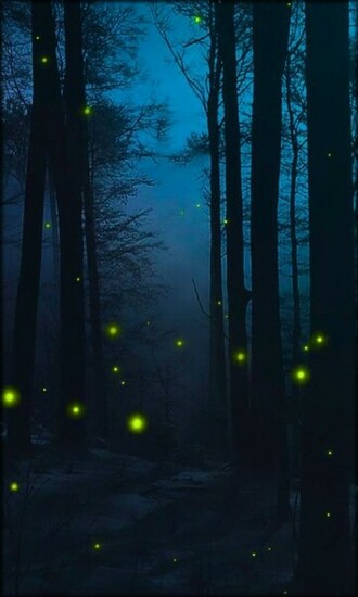 Fireflies Live Wallpaper Android Apps On Google Play