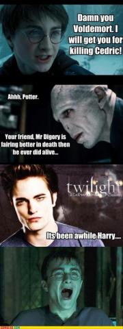 Harry Memes Poytermwallpaper Wallpaper On