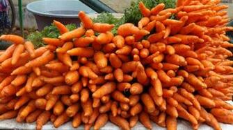 Carrot Hq Wallpaper Full HD Pictures