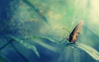 Ultra Wallpaper Pictures 3d Background