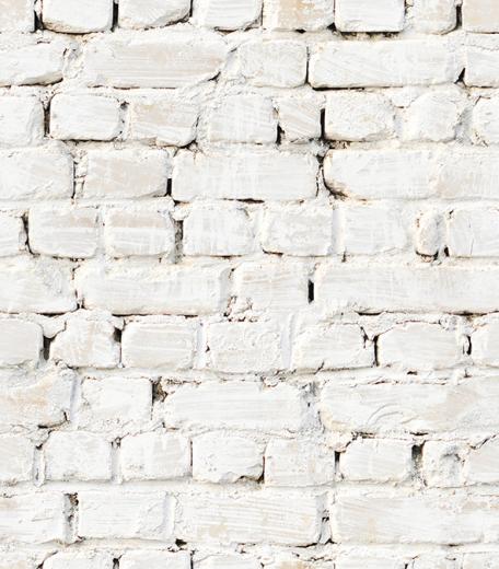 Kemra Whitewash Bricks Wallpaper Polka Dot Peacock