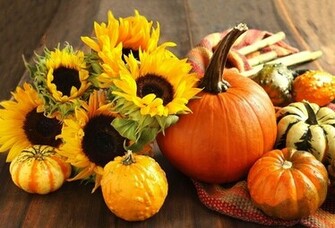 Wallpaper Autumn Pumpkin Sunflower Harvest Still Life Desktop