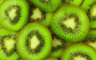 Kiwi HD Desktop Wallpaper 7wallpaper Net